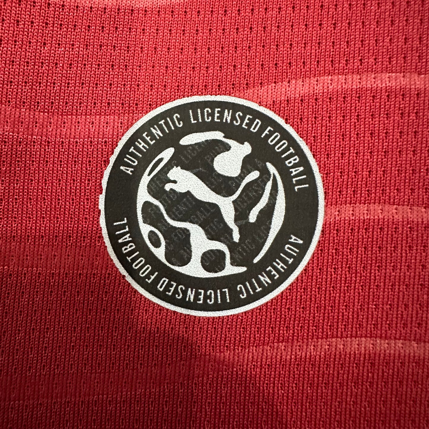 Camiseta de Portugal (LOCAL)