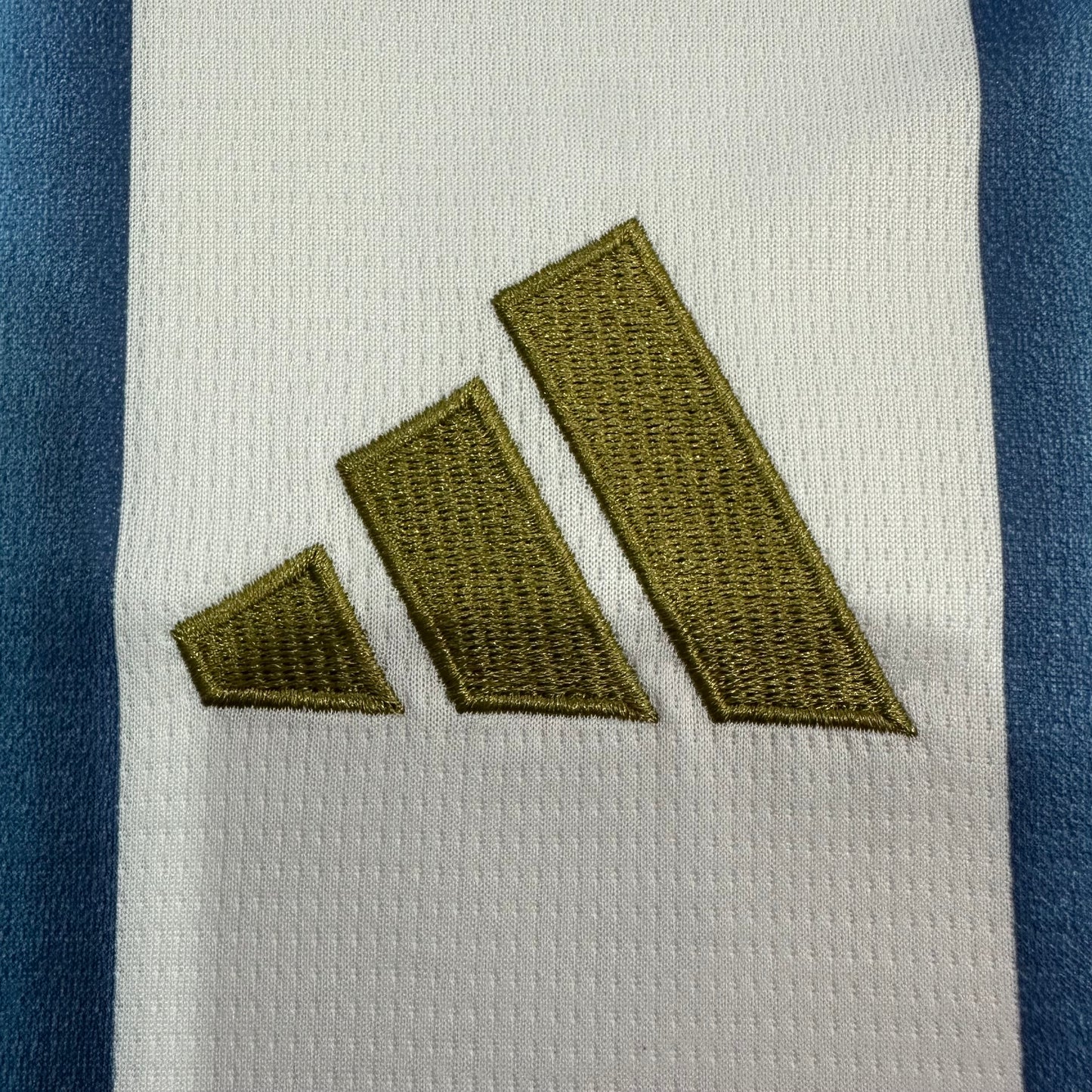Camiseta de Argentina (LOCAL)
