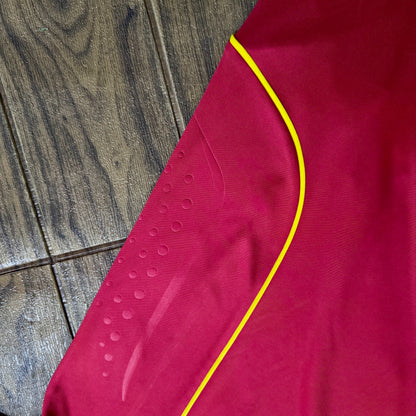 Camiseta de España 2008