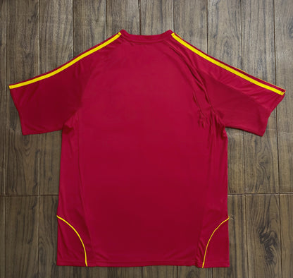 Camiseta de España 2008